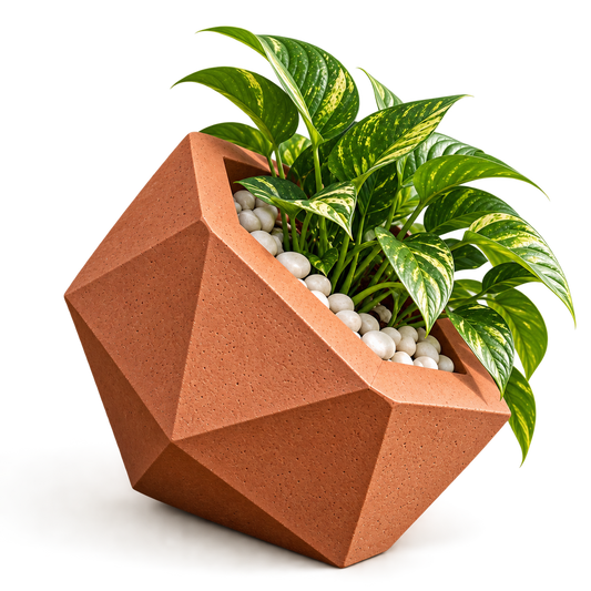 Pentagon Planter